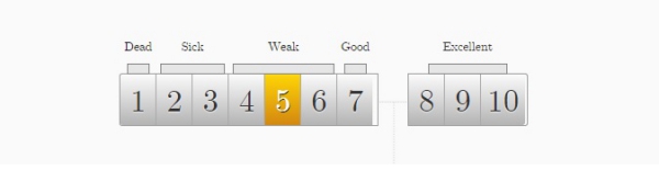 Quality Score